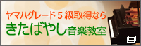 Ф䤷ڶ